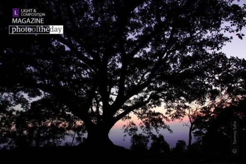 The Strong Hold by Tanmoy Saha - Sunset Photography, Photography Awards, Photo of the Day, Art Photography, Online Photography Courses
