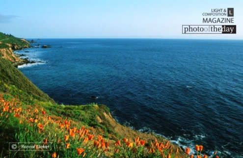 Happy View, by Ronnie Glover - Landscape Photography, Photo of the Day, Award Winning Photography, Nature Photography, Photography Education