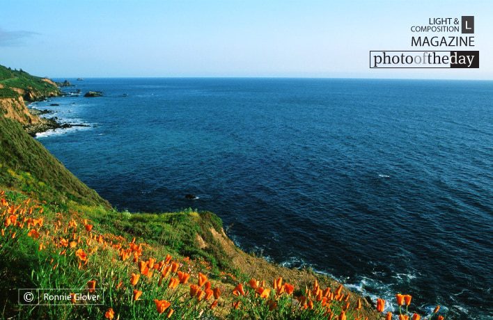 Happy View, by Ronnie Glover - Landscape Photography, Photo of the Day, Award Winning Photography, Nature Photography, Photography Education