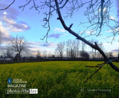 Broken and Blessed, by Sandra Frimpong - Nature Photography, Award Winning Photography, Photo of the Day, Photography Education, Sandra Frimpong