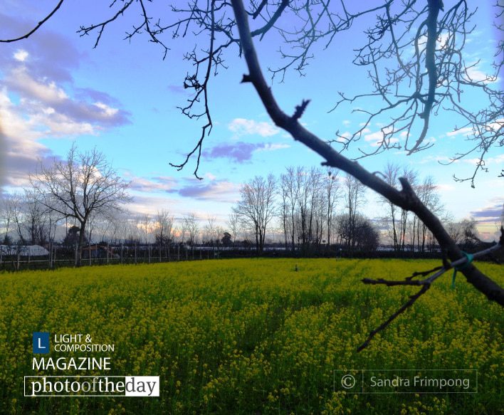 Broken and Blessed, by Sandra Frimpong - Nature Photography, Award Winning Photography, Photo of the Day, Photography Education, Sandra Frimpong