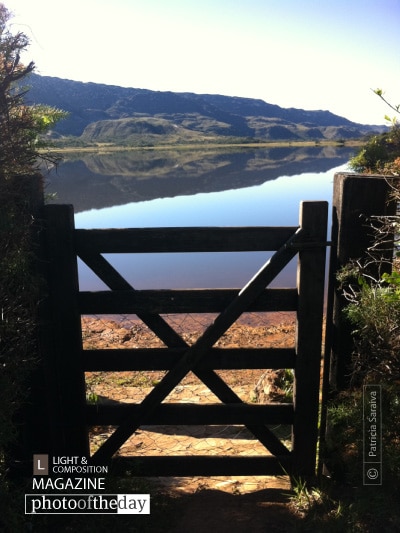 Behind the Fence, by Patricia Saraiva - Travel Photography, Photo of the Day, Award Winning Photography, Photography Awards, Art Photography