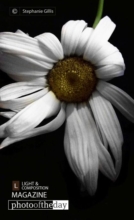 White Summer, by Stephanie Gillis