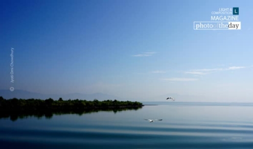 Two Birds, by Jyoti Omi Chowdhury - Nature Photography, Photojournalism, Photo of the Day, Photography Awards, Art Photography