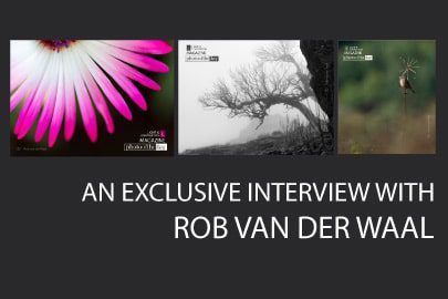 An Exclusive Interview with Rob van der Waal - Nature Photography, Photography Interview, Photo of the Month, Art Photography, Online Photography Courses