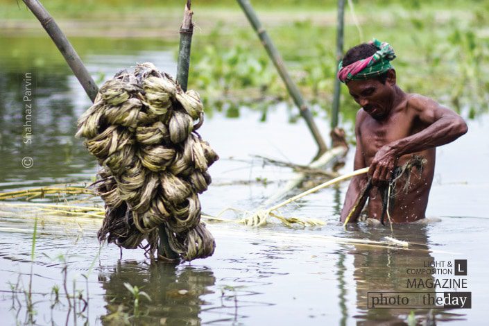 The Craftsman of Jute, by Shahnaz Parvin - Photojournalism, Documentary Photography, Award-Winning Photography, Candid Photography, Art Photography