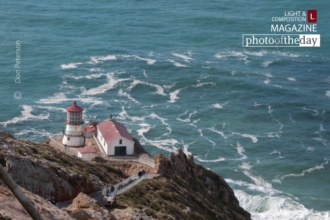 Vigil, by Don Peterson