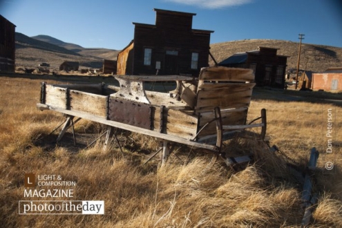 Overburdened, by Don Peterson - Still Life Photography, Award Winning Photography, Photo of the Day, Photography Education, Art Photography