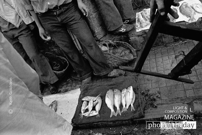 Fish Monger, by Keith Goldstein - Street Photography, Photojournalism, Photography Awards, Art Photography, Online Photography Courses