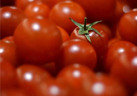 Be Different, by Zahraa Al Hassani - Conceptual Photography, Art Photography, Photo of the Day, Photography Awards, Photojournalism