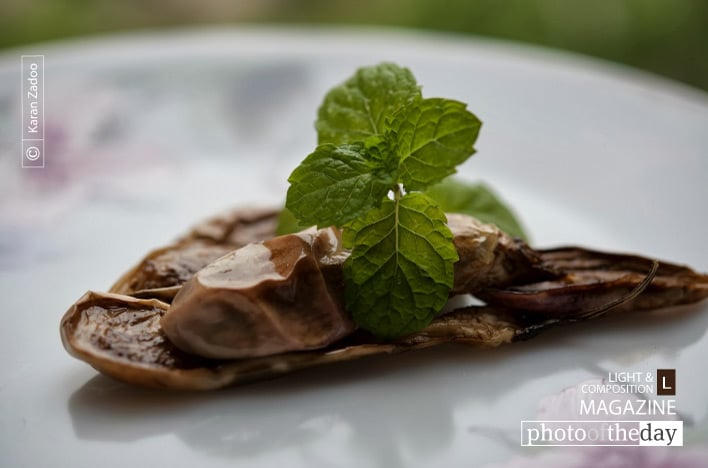 Fried Eggplant, by Karan Zadoo - Food Photography, Photography Awards, Photo of the Day,  Art Photography, Photography Education