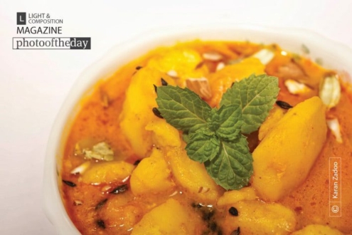 Potato Curd, by Karan Zadoo - Food Photography, Photo of the Day, Photography Awards,  Award Winning Photography,  Karan Zadoo