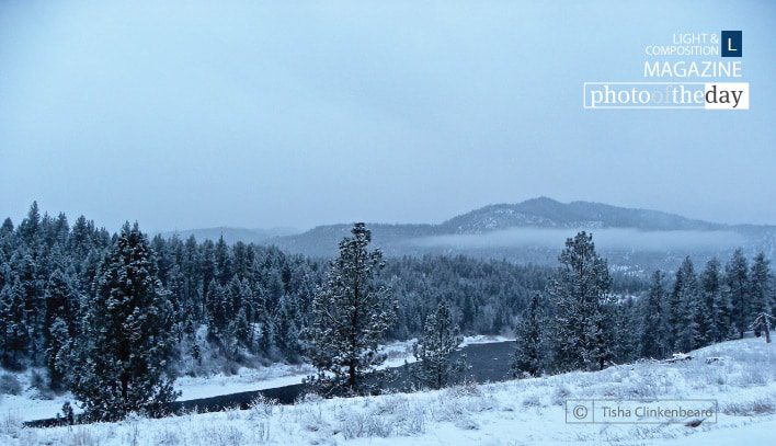 Clark Fork River in the Snow, by Tisha Clinkenbeard - Nature Photography, Award Winning Photography, Photo of the Day, Landscape Photography, Photography Awards