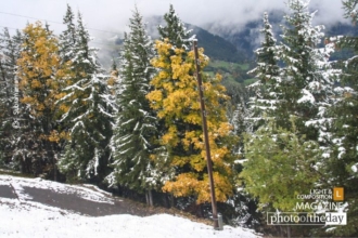 In between the White Snow, by Subramaniam K V