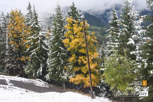 In between the White Snow, by Subramaniam K V - Nature Photography, Photography Awards, Photo of the Day, Landscape Photography, Art Photography