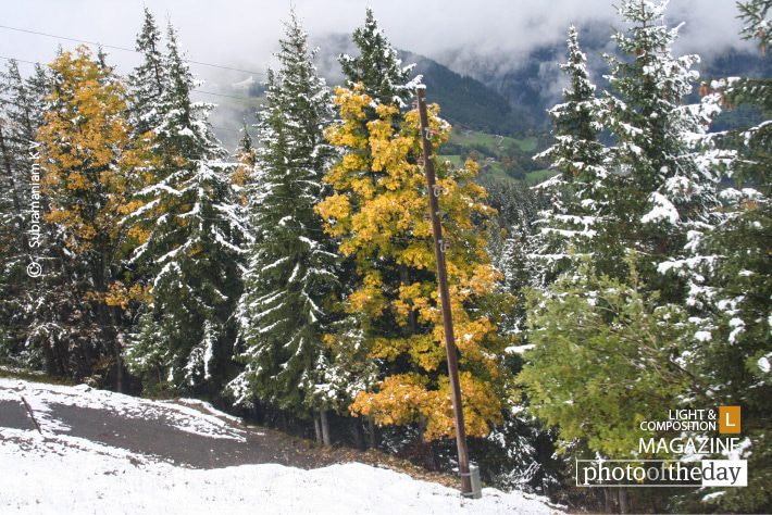 In between the White Snow, by Subramaniam K V - Nature Photography, Photography Awards, Photo of the Day, Landscape Photography, Art Photography