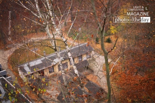 Autumn in Transition, by Mai Phuong Duong - Nature Photography, Photography Awards, Photo of the Day, Autumn Photography, Landscape Photography
