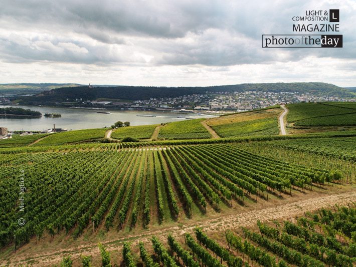 Autumn in Transition, by Mai Phuong Duong - Nature Photography, Photography Awards, Photo of the Day, Autumn Photography, Landscape Photography