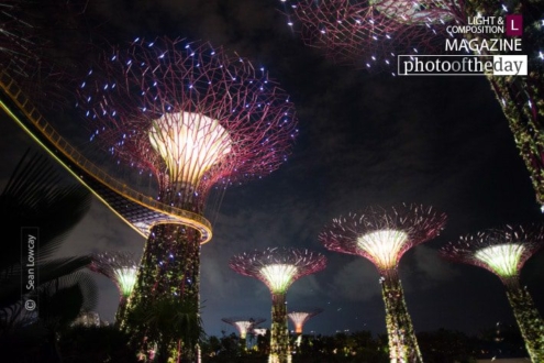 Alien Nights in Asia, by Sean Lowcay - Night Photography, Photography Awards, Art Photography, Photo of the Day, Landscape Photography