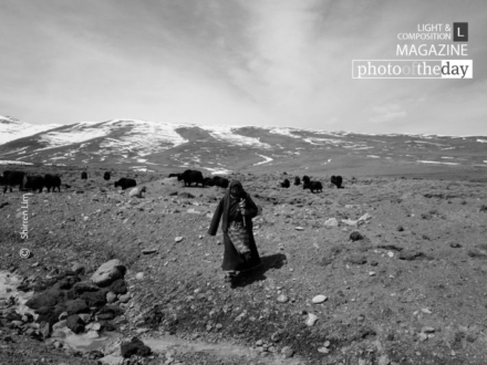 The Yak Herder, by Shirren Lim - Travel Photography, Photojournalism, Photography Awards, Photo of the Day, Award Winning Photography