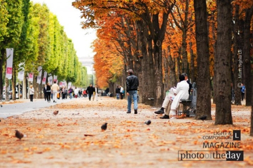 Autumn in Paris, by Minh Nghia Le - Photography, Nature Photography, Photo of the Day, Autumn Photography, Paris Photography