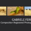Gabriele Ferrazzi - Travel Photography, Award-Winning Photography, Photojournalism, Photography Portfolio, Gabriele Ferrazzi