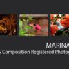 Marina Hof - Photojournalism, Photography Awards, Art Photography, Marina Hof, Light & Composition