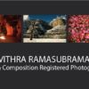 Pavithra Ramasubramanian - photography, nature photography, wildlife photography, photo awards, Light & Composition