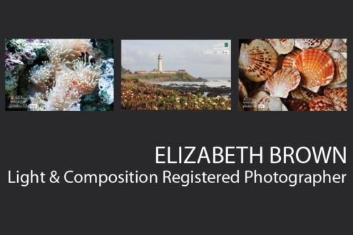 Elizabeth Brown - Fine Art Photography, Nature Photography, Wildlife Photography, Elizabeth Brown, Photography Awards