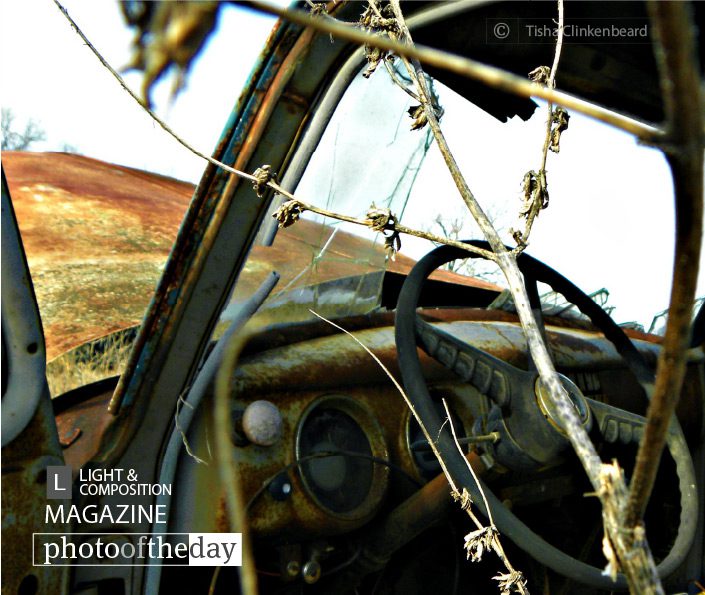 Thru The Door Of A ’54 , by Tisha Clinkenbeard - Still Life Photography, Photography Award, Abandoned Vehicle Photography, Photo of the Day, Art Photography