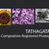 Tathagata Das - Landscape Photography, Wildlife Photography, Macro Photography,  Photography Portfolio, Tathagata Das
