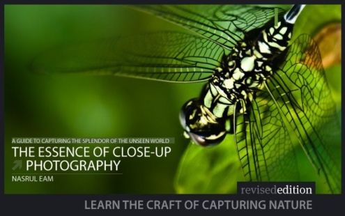 The Essence of Close-up Photography - Close-up Photography, Nature Photography, Macro Photography, Photography Techniques, Photography Book