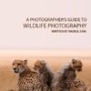 A Photographer's Guide to Wildlife Photography - Wildlife Photography, Photography Courses, Nature Photography, Photography Education, Online Photography Tutorials