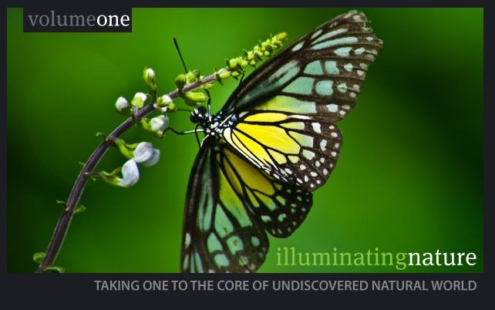 Illuminating Nature, Volume One - Nature Photography, Fine Art Photography, Photo Book, Photography Publication, Nasrul Eam