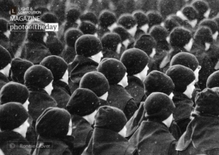 Winter, by Ronnie Glover