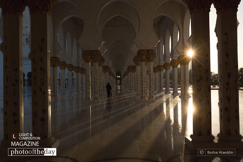 Double Starburst, by Bashar Alaeddin - Artistic Photography, Photo of the Day, Photography Awards, Photography Composition, Double Starburst