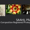 Saahil Prasad - Landscape Photography, Portrait Photography, Photography Portfolio, Saahil Prasad, Light & Composition