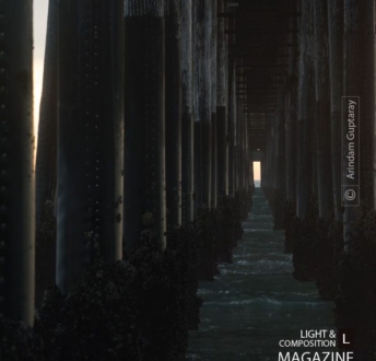 Under The Boardwalk, by Arindam Guptaray - Conceptual Photography, Art Photography, Photo of the Day, Photography Awards, Online Photography Courses