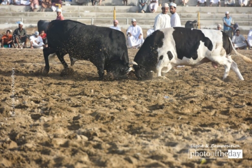 The Avalanche, by Sanak Roy Choudhury - Motion Photography, Photography Awards, Photojournalism, Art Photography, Online Photography Courses