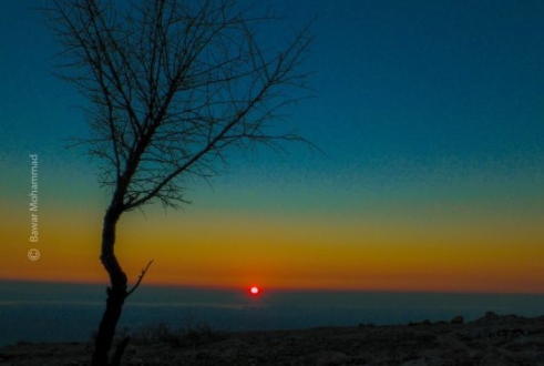 Watching a Beautiful Sunset, by Bawar Mohammad - Sunset Photography, Photography Awards, Photo of the Day, Art Photography, Online Photography Courses