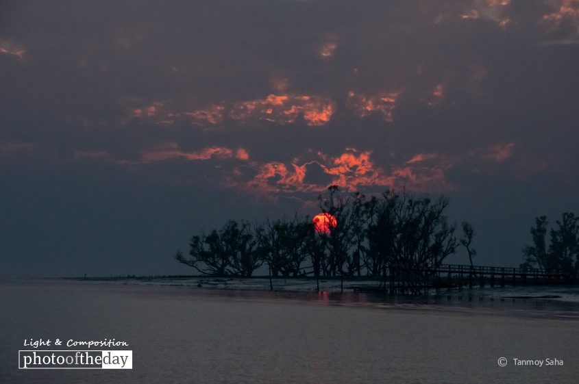 The Sunset at Sundarban, by Tanmoy Saha - Sunset Photography, Photography Awards, Photo of the Day, Landscape Photography, Sundarbans