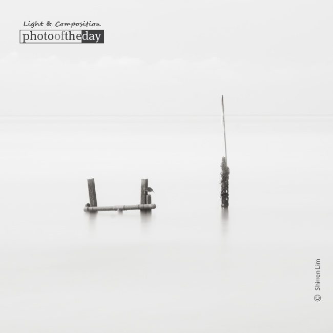 . . . And the Bird Makes Four, by Shirren Lim - Black and White Photography, Seascape Photography, Award Winning Photography, Photo of the Day, Photography Courses