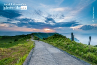 A Road to Nowhere, by Sanjoy Sengupta
