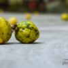 Ripe, by Rezawanul Haque - Food Photography, Photography Awards, Photo of the Day, Art Photography, Online Photography Courses