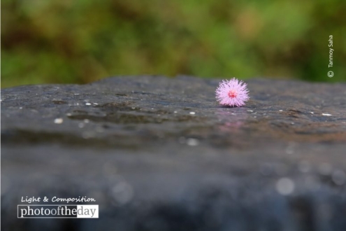 It's Still Beautiful, by Tanmoy Saha - Travel Photography, Photo of the Day, Photography Awards, Art Photography, Online Photography Courses