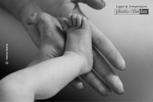 Love, by Patricia Saraiva - Artistic Photography, Photojournalism, Photography Awards, Photo of the Day, Online Photography Courses