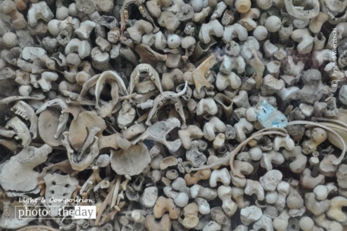 Bones and Jaws, by Ryszard Wierzbicki - Documentary Photography, Photojournalism, Cambodia, Killing Fields, Ryszard Wierzbicki