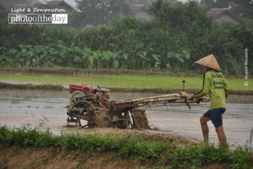 Preparing Rice Paddy Field, by Ryszard Wierzbicki - Travel Photography, Rice Paddy Field, Award Winning Photo, Photo of the Day, Landscape Photography