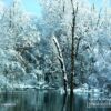 Snowy Pond, by Tisha Clinkenbeard - Nature Photography, Photography Awards, Photo of the Day, Winter Photography, Photography Education