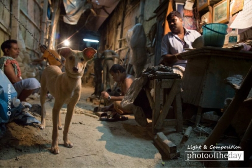 Just Surprised, by Shahnaz Parvin - Documentary Photography, Photojournalism, Award-Winning Photography, Photo of the Day, Shahnaz Parvin